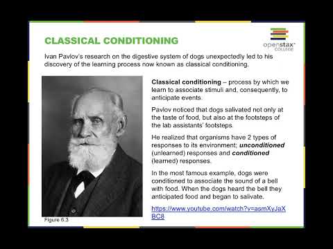 Chapter 6 Learning