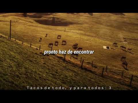 Busca amor - Alta Consigna