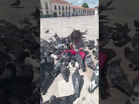 desde Tunja Boyacá