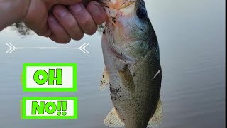 Goldilocks and the 3 Ponds | Bass | Bank Fishing