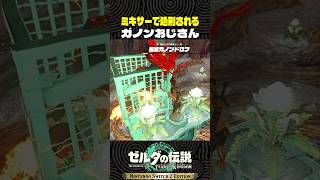 ミキサーで処刑されるガノンおじさん【ゼルダの伝説 ティアキン】