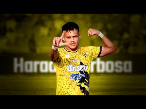 Highlights 23/24