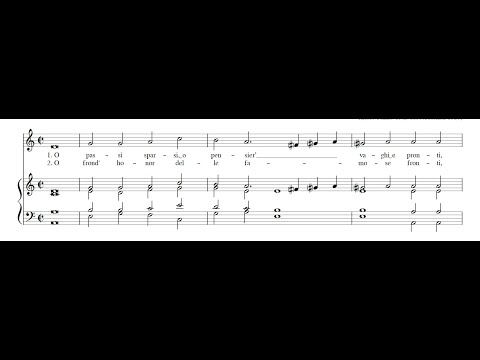 SEBASTIANO FESTA: O passi sparsi PDF SCORE