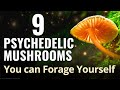 9 Psychedelic Mushrooms You Can Forage Yourself