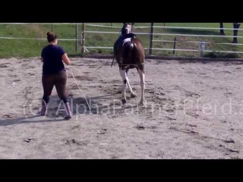 erste Traversale links Jumper 130829