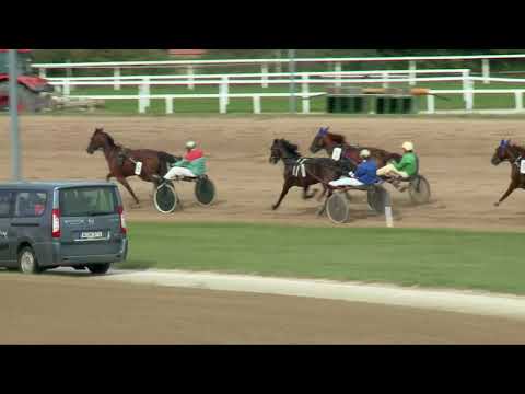 2017.09.23. 2. futam - 2017. ÉVI KINCSEM PARK KUPA HENDIKEP V. FUTAM