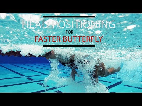 Head Position for a Faster Butterfly