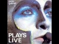 Peter Gabriel Plays Live - ON THE AIR.wmv(testo)