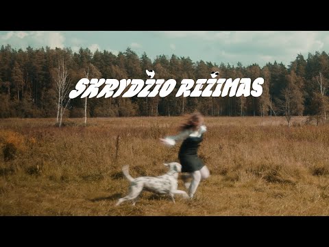 dargana - Skrydžio Režimas