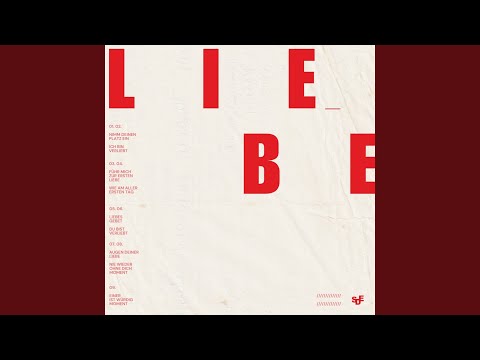 Nie wieder ohne Dich - Moment (Live)