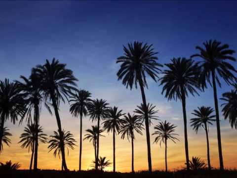 Baro Dano Feat. Mo Dee & Imaa - Special Times