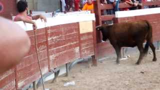 preview picture of video 'Vianako Jaiak / Fiestas de Viana 2012 Toro destroza puerta al saltar al callejón'