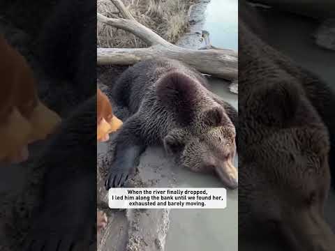 The flood ripped his mother away #shorts