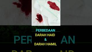Download lagu Perbedaan Darah haid atau tanda hamil ?? mp3 Download lagu Perbedaan Darah haid atau tanda hamil ?? mp3