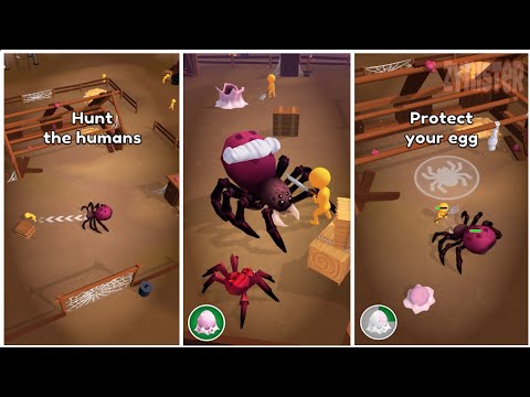The Spider Nest - YouTube