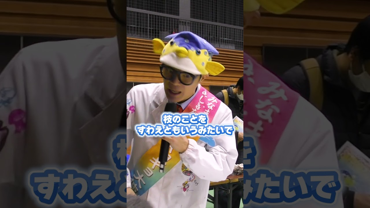 描いたお魚たちが泳ぎ出す！？ギョギョッと素敵な体験！【熊本県】