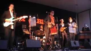 Mad Dogs Zydeco @ Bie Rock & Bluesfestival 2013