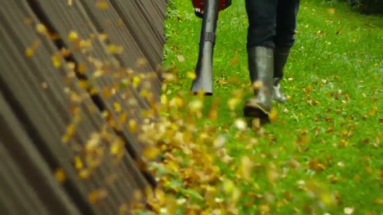 Souffleur Echo PB255ES