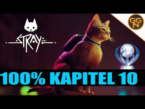 Stray - Walkthrough Kapitel 10 Stadtzentrum - So geht es am schnellsten :)
