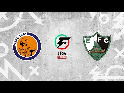 Liga Placard, 18ª jorn.: Viseu 2001 6-1 Eléctrico FC/Fgil.pt