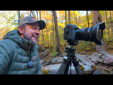 A Perfect Fall Morning - How I Capture Peak Color