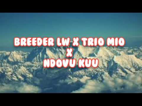 PATTERN (OFFICIAL LYRICS) - BREEDER LW X TRIO MIO X NDOVU KUU