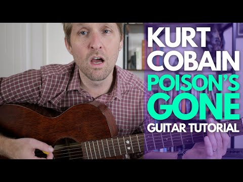 Poison's Gone by Kurt Cobain / Nirvana - Guitar Lessons with Stuart!