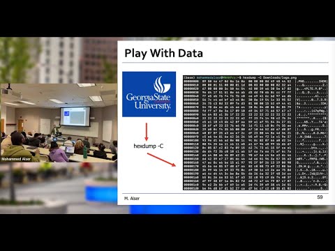 Lecture 3 | Transistors & Number Systems | GSU | Prof. Mohammed Alser