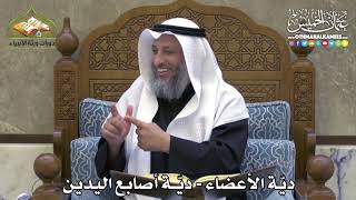 2356 - ديّة الأعضاء - ديّة أصابع اليدين - عثمان الخميس