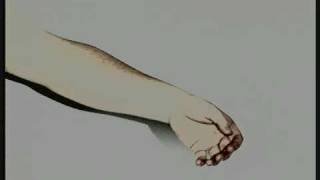 evolution-revolution