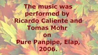 PanPipes: Girl, You'll be a Woman Soon - with songfacts