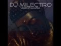 DJ Milectro - Voice of Mantra (Leeloop Fanatix ...