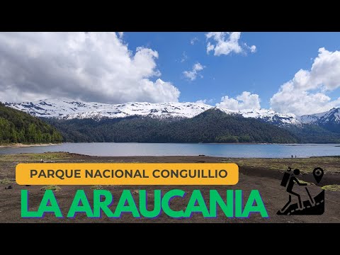 Parque Nacional Conguillío Región de La Araucanía #chile #airelibre #parquesnacionales #caminata