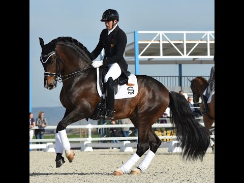 NADAL SU - DEBUT NIVEL GRAN PREMIO