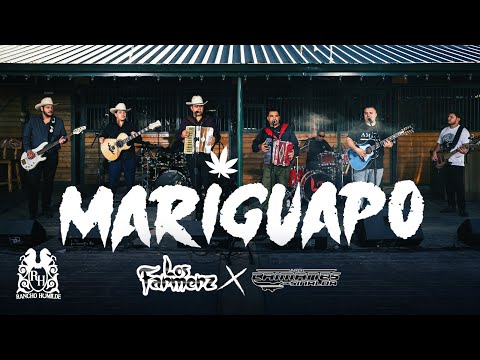 Los Farmerz x Los Caimanes De Sinaloa - El Mariguapo [En Vivo]