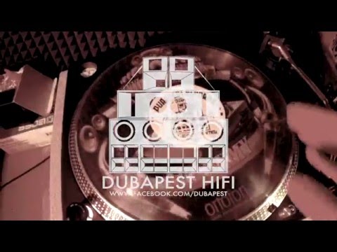 Shanti D - Revolution (Danny T RMX) DUBPLATE STYLE