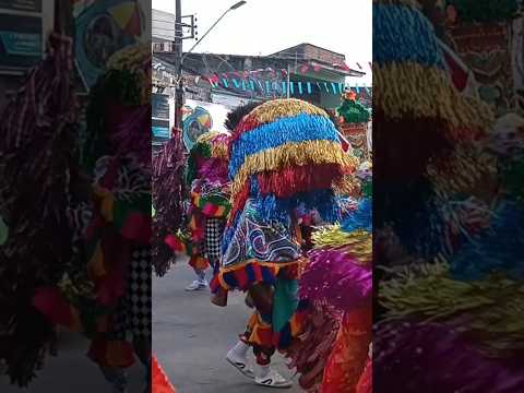 MARACATU NO CARNAVAL EM VICÊNCIA Pe#carnaval #maracatu