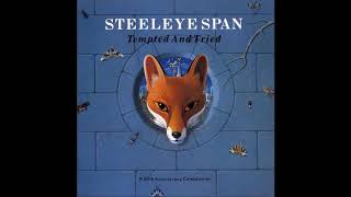 Steeleye Span-Following Me