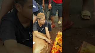 Download lagu TAJAMNYA GOLOK QRISDOREN #pondokrandu #viral #durikosambi #hewanqurbanjakarta #shorts mp3 Download lagu TAJAMNYA GOLOK QRISDOREN #pondokrandu #viral #durikosambi #hewanqurbanjakarta #shorts mp3