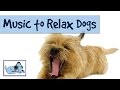 MUSIC TO RELAX DOGS TRY IT ON YOUR DOG AND WATCH RelaxMyDog RMD01