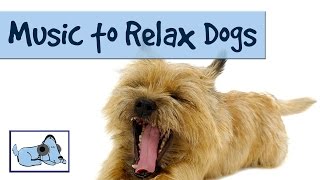 MUSIC TO RELAX DOGS! - TRY IT ON YOUR DOG AND WATCH RelaxMyDog 🐶 RMD01