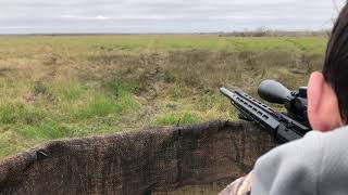 Patrick Shooting his First Hog