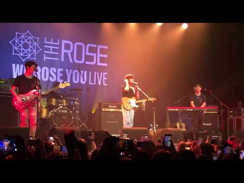 The Rose | Sorry | we rose you live in Amsterdam 191114