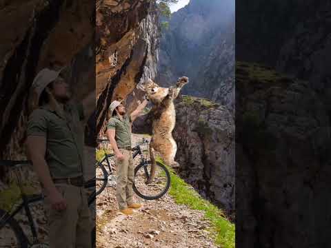 Mountain lion attack survival tutorial ￼