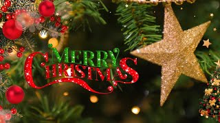 Christmas whatsApp Status  Merry Christmas to all 