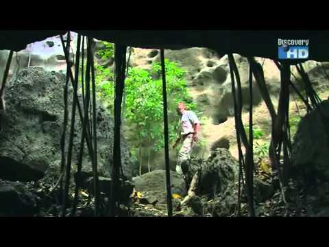 Austin Stevens - Die Drachen von Komodo (1/5)