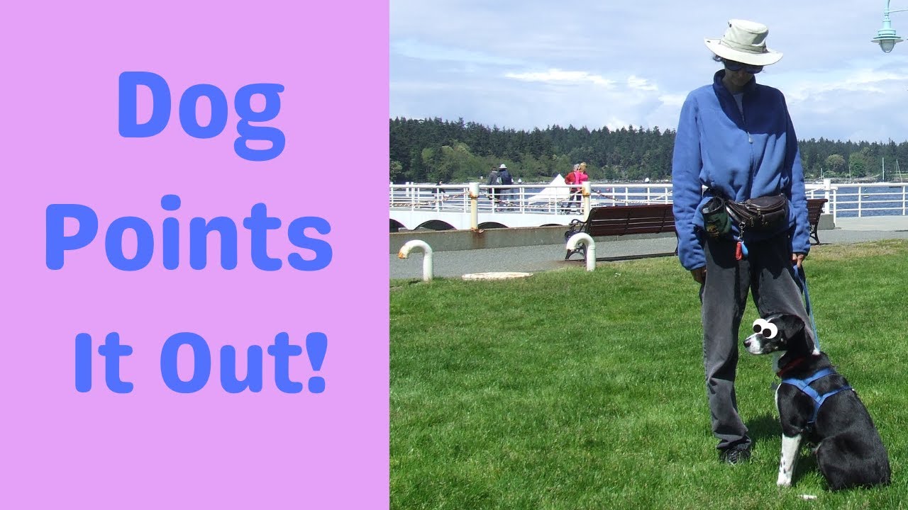 YouTube video preview