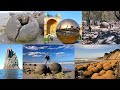 Fruits Of The Petrified Giant Trees The Lost Old World