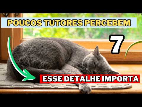 O Jeito Que Seu Gato Dorme REVELA Algo Sobre ELE (Quase NINGUÉM Sabe Disso)