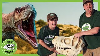 Dinosaur Adventure in the Desert | T-Rex Ranch +40 MINS of Kids Videos!